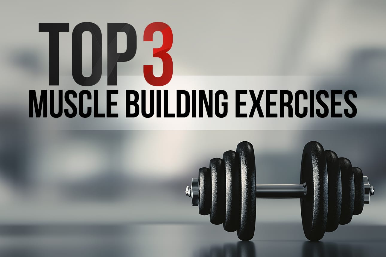 Top 3 Muscle-Building Exercises