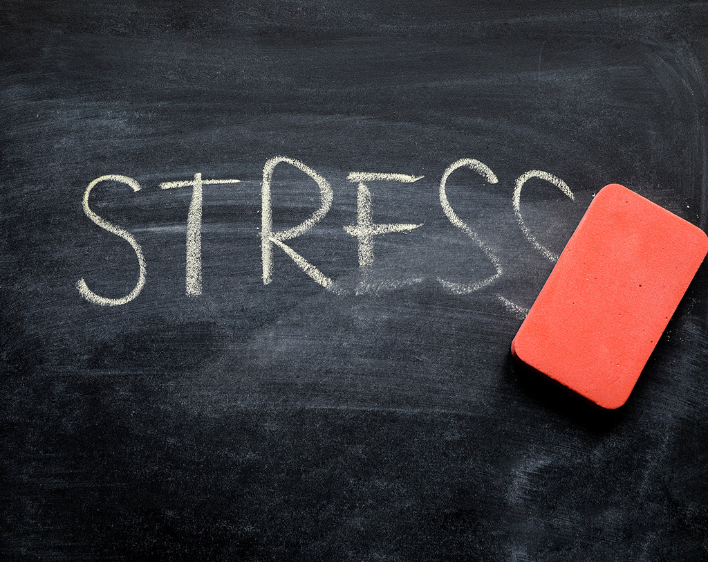 5 Easy Ways to Decrease Stress
